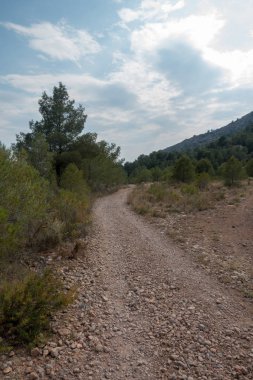 Ödeme yönetimi dağlar ve avuç içi ağaçlar, İspanya çöl