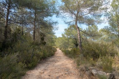 Ödeme yönetimi dağlar ve avuç içi ağaçlar, İspanya çöl