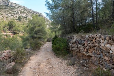 Ödeme yönetimi dağlar ve avuç içi ağaçlar, İspanya çöl