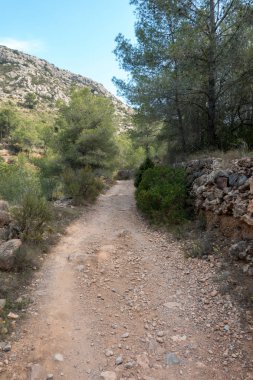 Ödeme yönetimi dağlar ve avuç içi ağaçlar, İspanya çöl