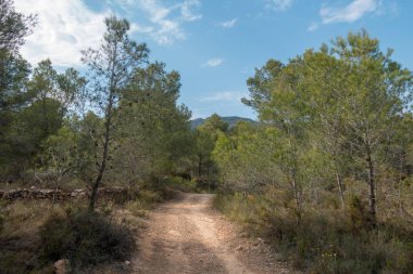Ödeme yönetimi dağlar ve avuç içi ağaçlar, İspanya çöl