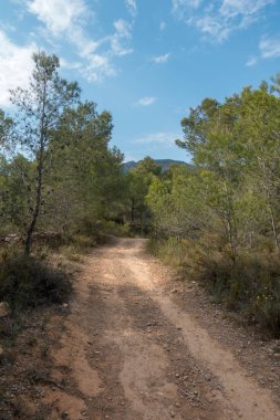 Ödeme yönetimi dağlar ve avuç içi ağaçlar, İspanya çöl