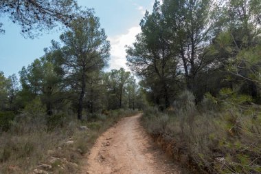 Ödeme yönetimi dağlar ve avuç içi ağaçlar, İspanya çöl