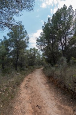 Ödeme yönetimi dağlar ve avuç içi ağaçlar, İspanya çöl