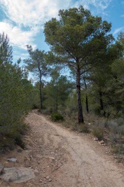 Ödeme yönetimi dağlar ve avuç içi ağaçlar, İspanya çöl