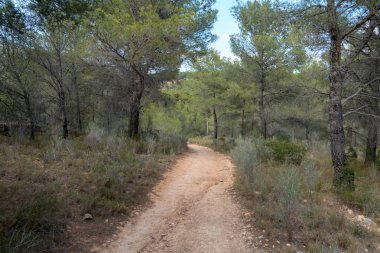 Ödeme yönetimi dağlar ve avuç içi ağaçlar, İspanya çöl