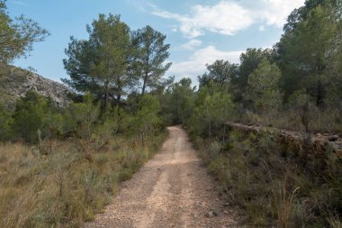 Ödeme yönetimi dağlar ve avuç içi ağaçlar, İspanya çöl