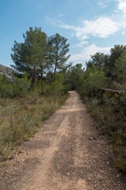 Ödeme yönetimi dağlar ve avuç içi ağaçlar, İspanya çöl