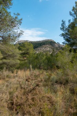 Ödeme yönetimi dağlar ve avuç içi ağaçlar, İspanya çöl
