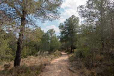 Ödeme yönetimi dağlar ve avuç içi ağaçlar, İspanya çöl