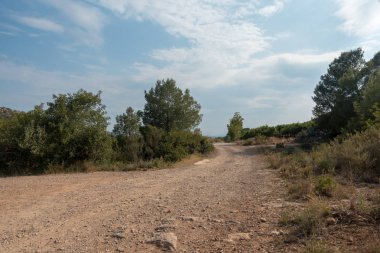 Ödeme yönetimi dağlar ve avuç içi ağaçlar, İspanya çöl