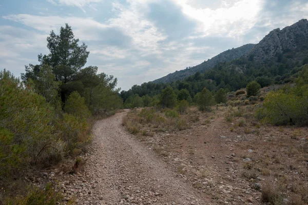 Ödeme yönetimi dağlar ve avuç içi ağaçlar, İspanya çöl