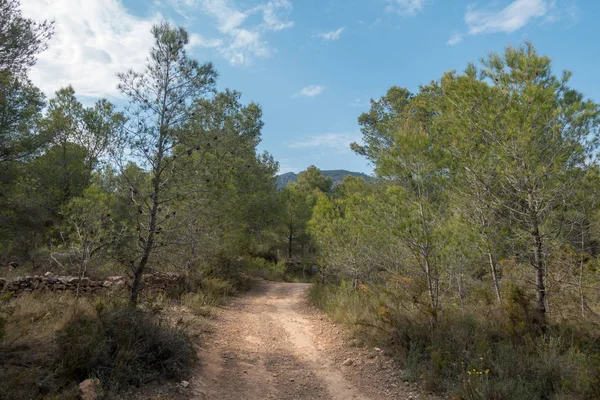 Ödeme yönetimi dağlar ve avuç içi ağaçlar, İspanya çöl