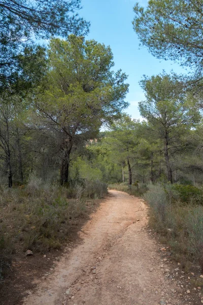 Ödeme yönetimi dağlar ve avuç içi ağaçlar, İspanya çöl