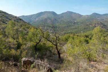 Avuç içi altında mavi gökyüzü, İspanya çöl