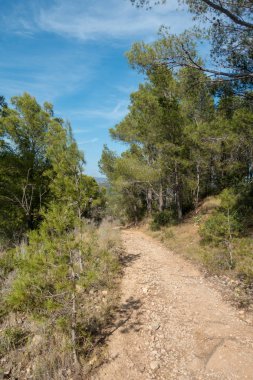 Avuç içi altında mavi gökyüzü, İspanya çöl