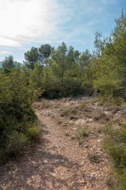 Avuç içi altında mavi gökyüzü, İspanya çöl