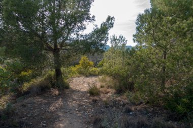 Avuç içi altında mavi gökyüzü, İspanya çöl