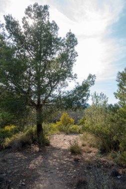 Avuç içi altında mavi gökyüzü, İspanya çöl