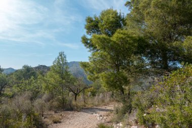 Avuç içi altında mavi gökyüzü, İspanya çöl
