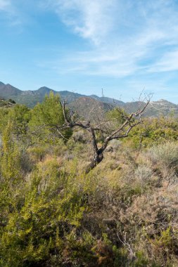 Avuç içi altında mavi gökyüzü, İspanya çöl