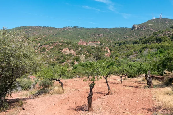 Avuç içi altında mavi gökyüzü, İspanya çöl
