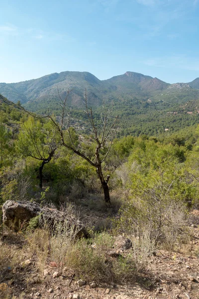 Avuç içi altında mavi gökyüzü, İspanya çöl