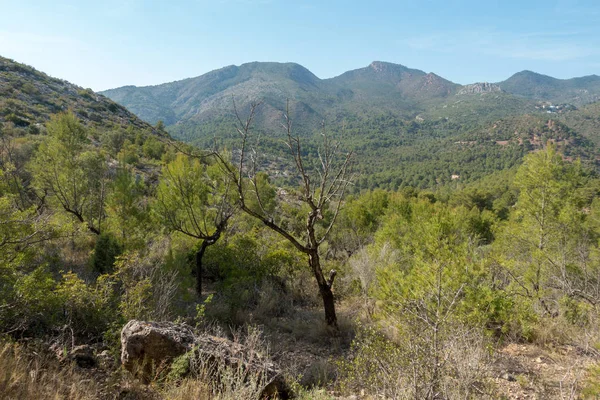 Avuç içi altında mavi gökyüzü, İspanya çöl