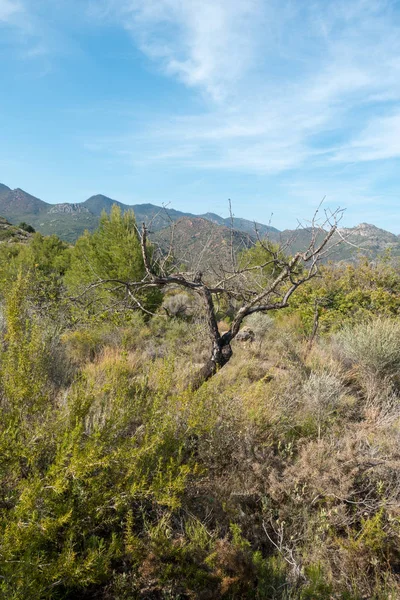 Avuç içi altında mavi gökyüzü, İspanya çöl