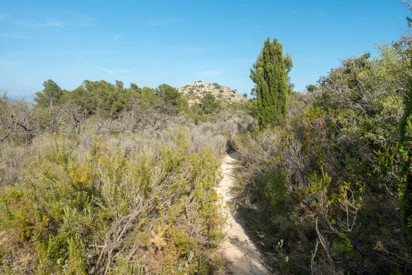 Avuç içi altında mavi gökyüzü, İspanya çöl