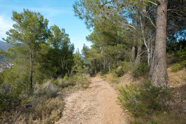 Avuç içi altında mavi gökyüzü, İspanya çöl