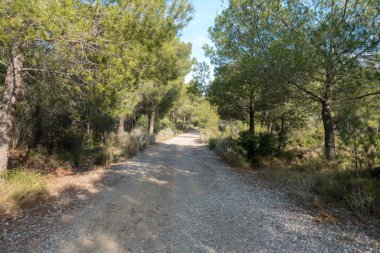 Avuç içi altında mavi gökyüzü, İspanya çöl