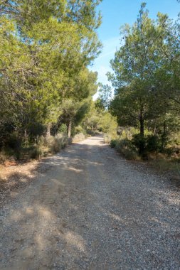 Avuç içi altında mavi gökyüzü, İspanya çöl