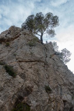 Avuç içi altında mavi gökyüzü, İspanya çöl