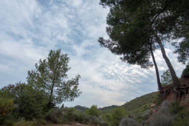 Avuç içi altında mavi gökyüzü, İspanya çöl