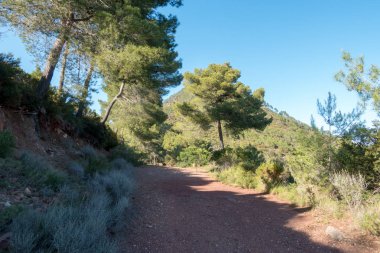 Avuç içi altında mavi gökyüzü, İspanya çöl