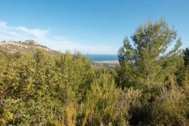 Akdeniz'ı çölden avuç Benicassim, İspanya
