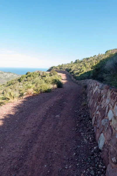 Středozemní Moře Pouště Palem Benicassim Španělsko — Stock fotografie