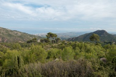 Akdeniz'ı çölden avuç Benicassim, İspanya