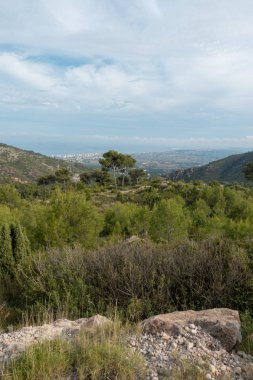 Akdeniz'ı çölden avuç Benicassim, İspanya