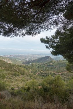 Akdeniz'ı çölden avuç Benicassim, İspanya