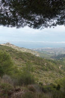Akdeniz'ı çölden avuç Benicassim, İspanya