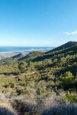 Akdeniz'ı çölden avuç Benicassim, İspanya
