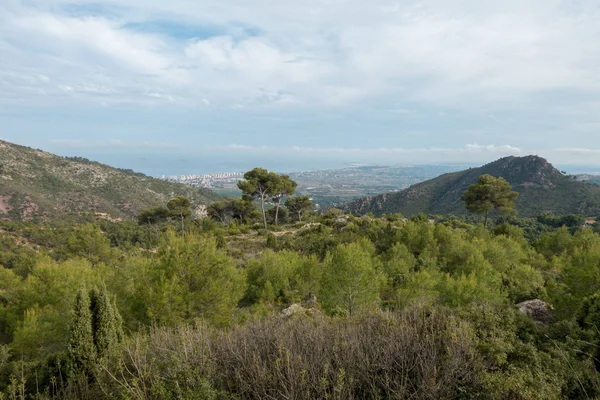 Akdeniz'ı çölden avuç Benicassim, İspanya