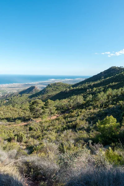 Akdeniz'ı çölden avuç Benicassim, İspanya