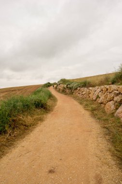 Camino de Santiago olarak: Navarra, Spain geçer