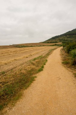 Camino de Santiago olarak: Navarra, Spain geçer
