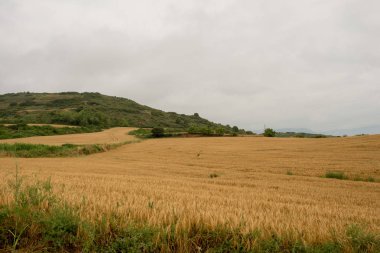 Camino de Santiago olarak: Navarra, Spain geçer