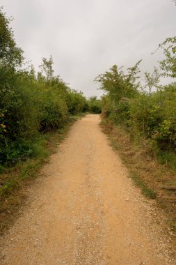 Camino de Santiago olarak: Navarra, Spain geçer