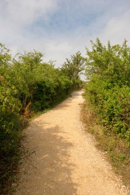 Camino de Santiago olarak: Navarra, Spain geçer